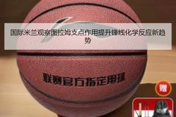 img_1781389832604_3216_1_461.jpg